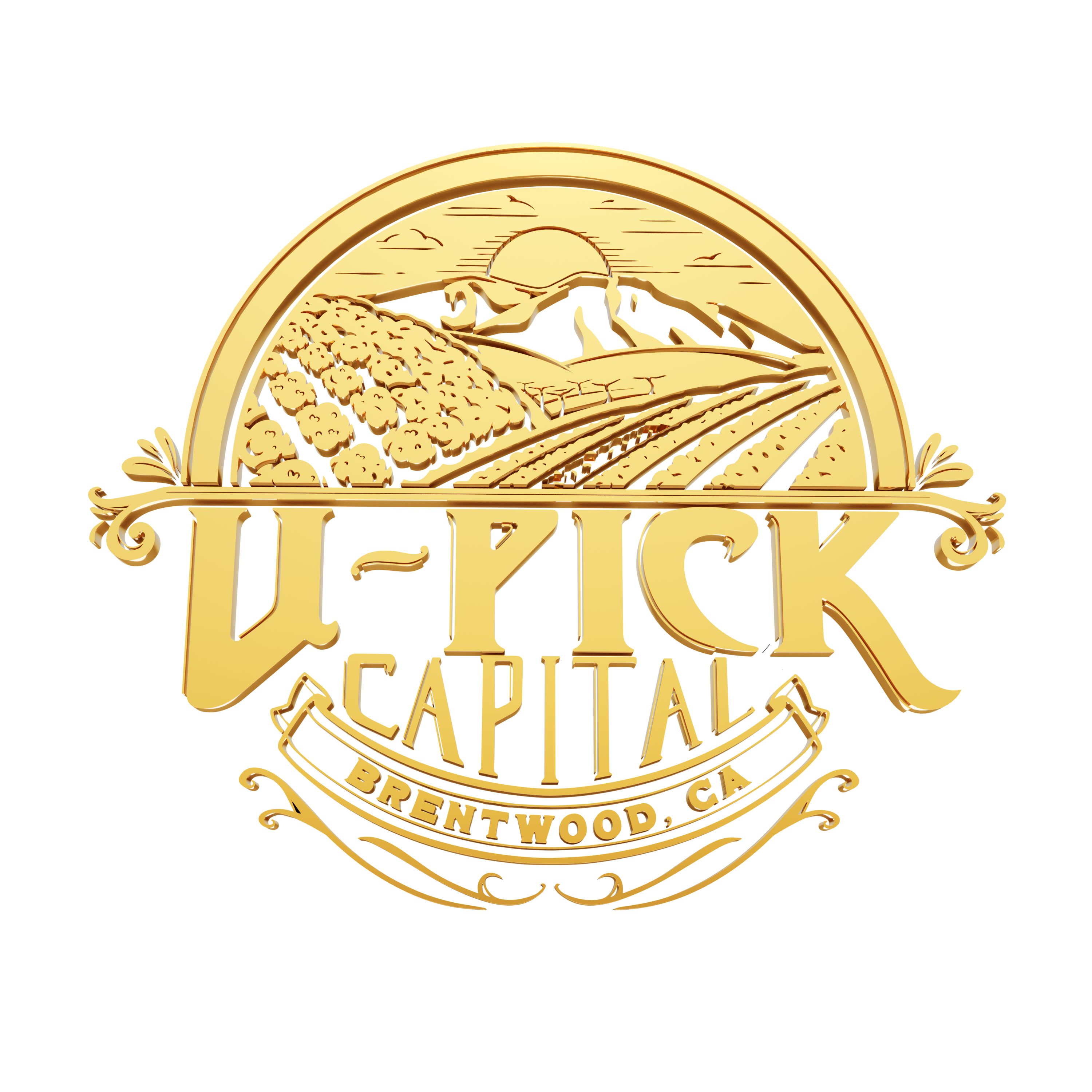 U-Pick Capital